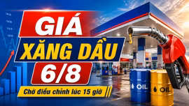 Giá xăng dầu hôm nay 6/8/2026: Chờ điều chỉnh mới lúc 15 giờ