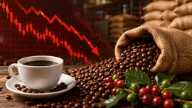 Giá cà phê hôm nay 17/5: Robusta và Arabica tiếp tục giảm sâu