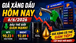 Giá xăng dầu hôm nay 6/6: Cập nhật giá dầu Brent WTI, xăng E10 và E5 mới