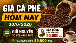 Giá cà phê hôm nay 30/6: Mốc 90.000 đồng/kg vẫn được giữ