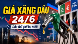 Giá xăng dầu hôm nay 24/6: Trong nước ổn định, thế giới hạ nhiệt
