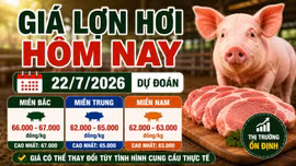 Giá lợn hơi hôm nay 22/7: Bắc Ninh, Lâm Đồng và Đồng Nai hạ giá