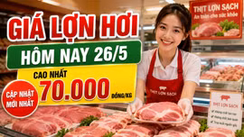 Cập nhật giá lợn hơi 26/5: Mốc 70.000 đồng/kg xuất hiện ở 2 địa phương
