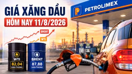 Giá xăng dầu hôm nay 11/8: Dầu thế giới tăng mạnh, Brent gần 88 USD