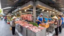 Giá thịt lợn hơi hôm nay 15/5/2026: Miền Bắc tăng mạnh