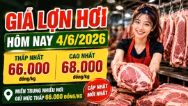 Giá lợn hơi hôm nay 4/6: Miền Trung vẫn thấp nhất cả nước