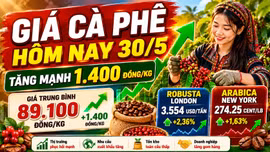 Giá cà phê hôm nay 30/5 tăng vọt, vượt mốc 89.000 đồng/kg