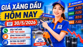 Xem bảng giá xăng dầu hôm nay 30/5: Dầu Brent, WTI tiếp tục giảm