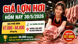 Giá lợn hơi hôm nay 30/5: Cả nước phổ biến mức 67.000–68.000 đồng/kg
