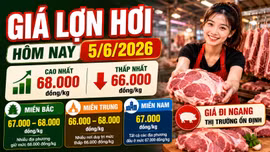 Giá lợn hơi hôm nay 5/6: Miền Bắc giữ đỉnh 68.000 đồng/kg