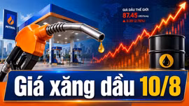 Giá xăng dầu hôm nay 10/8/2026: Dầu thế giới tăng phiên đầu tuần