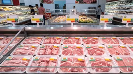 Giá lợn hơi hôm nay 14/5: Miền Bắc tăng tốc, miền Trung đi ngang