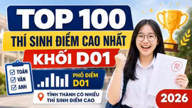 Hà Nội áp đảo TOP 100 thí sinh điểm cao khối D01