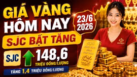 Giá vàng hôm nay 23/6: Vàng SJC, BTMC, DOJI, PNJ có còn tăng?