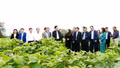 Lào Cai ban hành Kế hoạch thực hiện “Công tác lý luận và định hướng nghiên cứu đến năm 2030”