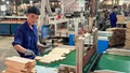 Lào Cai: Doanh nghiệp thành lập mới tăng 15%, vốn đăng ký đạt gần 6.865 tỷ đồng