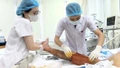 Sốc nhiễm trùng, suy đa tạng do chủ quan khi bị gai đâm