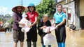 Cứu trợ khẩn cấp người dân 10 tỉnh bị ảnh hưởng bởi bão số 10 và 11