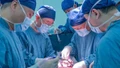 Trung Quốc công bố ca ghép gan lợn trên người đầu tiên sống lâu nhất thế giới