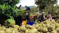 Đẩy mạnh đàm phán mở cửa, tạo cú hích cho xuất khẩu rau quả