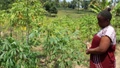 Kenya nghiên cứu mối liên hệ giữa biến đổi khí hậu và sức khỏe tinh thần