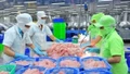 Trung Quốc trở thành nhà nhập khẩu thủy sản lớn nhất của Việt Nam