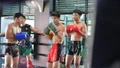 Muay Việt Nam khẳng định vị thế mới