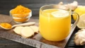 Thời điểm lý tưởng uống trà nghệ giúp tăng cường miễn dịch, tốt cho sức khỏe