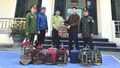 Vận động người dân tự nguyện giao nộp 13 cá thể chim hoang dã 