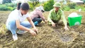 Mường Khương triển khai Dự án hỗ trợ trồng cây khoai tây, rau cho bà con nông dân