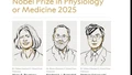 Nobel Y sinh 2025 vinh danh các nhà khoa học Mỹ và Nhật Bản về khám phá miễn dịch