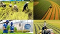 Công nghệ nội địa và bài toán tận dụng phụ phẩm nông nghiệp hiệu quả