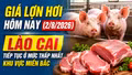 Giá lợn hơi hôm nay (2/8/2026): Lào Cai tiếp tục ở mức thấp nhất khu vực miền Bắc