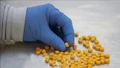 Mexico, Mỹ tăng cường hợp tác trong cuộc chiến chống fentanyl