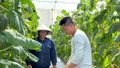 Phụ phẩm nông nghiệp: Làm sao khai thác hiệu quả?