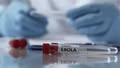 Bộ Y tế hỏa tốc yêu cầu phòng chống dịch bệnh do virus Ebola