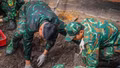 Phát hiện thêm 14 bộ hài cốt liệt sĩ tại Công viên Lê Thị Riêng