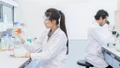 Các nhà khoa học Nga thử nghiệm biến tảo biển thành pin