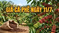Giá cà phê ngày 11/7: Thị trường bật tăng trở lại trước áp lực nguồn cung thắt chặt