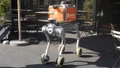 Robot giao hàng - Lời giải cho thiếu hụt nhân lực logistics