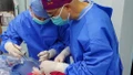 Lần đầu tiên cấy ghép thành công phổi lợn biến đổi gen vào cơ thể người