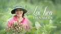 Lạc hoa trên núi đá
