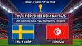 Trực tiếp bóng đá Thụy Điển vs Tunisia (9h00 hôm nay 15/6)