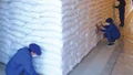Dồn lực hoàn thành nhập bổ sung 280.000 tấn lương thực dự trữ quốc gia.