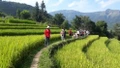 Phát triển du lịch - nông nghiệp: 'cơ hội vàng' để địa phương bứt phá