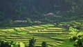 Cô gái Hà Nội ngỡ ngàng khi đến Tú Lệ ngắm sao, tắm khoáng giữa đại ngàn