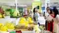 Tiềm năng phát triển mô hình hợp tác xã điện tử