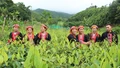 Xã Phúc Lợi phấn đấu mỗi năm trồng mới 560 ha rừng trở lên