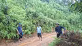 Mỏ Vàng phê duyệt 9 dự án giao thông nông thôn, tạo động lực phát triển các thôn vùng cao