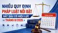 Nhiều quy định pháp luật nổi bật bắt đầu có hiệu lực từ tháng 8/2026